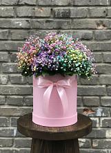 Цветочная композиция из Гипсофила и Розы в шляпной коробке #REPLACE_PRED# Горный Щит