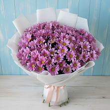 Букет цветов из:  Хризантемы в Горный Щит