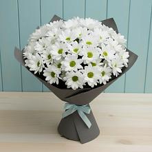 Букет цветов из:  Хризантемы в Горный Щит