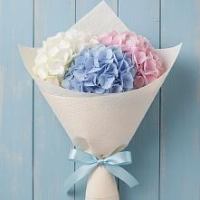 Букет цветов из:  Гортензия в Горный Щит