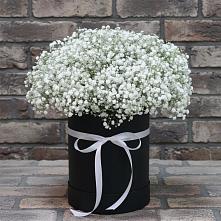 Цветочная композиция из Гипсофила в шляпной коробке #REPLACE_PRED# Горный Щит