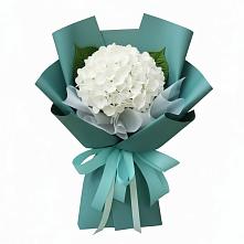 Букет цветов из:  Гортензия в Горный Щит